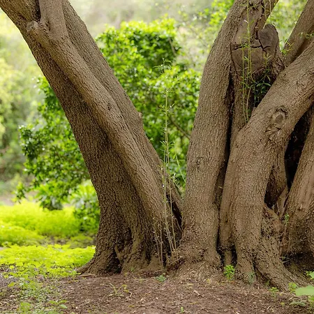 Lägenhet Eva Garcia Naranjo *